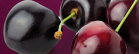 100% pure black cherry juice concentrate 473ml
